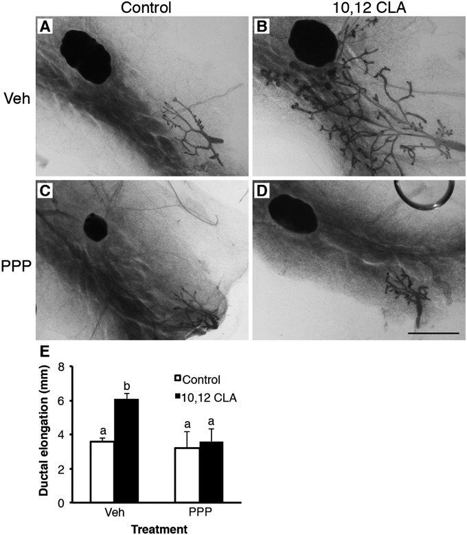 Fig. 9.