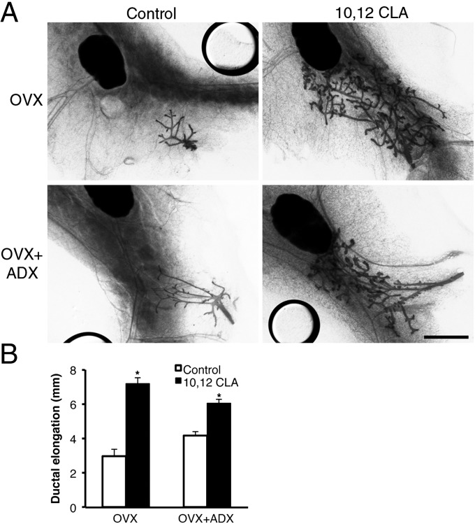 Fig. 5.