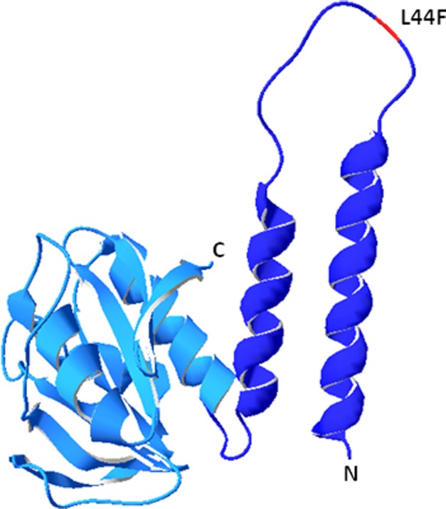 FIGURE 7.