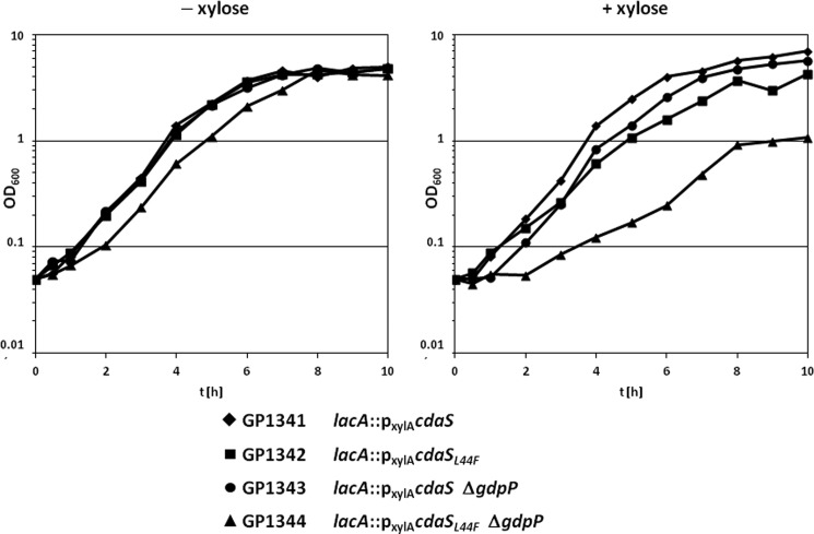 FIGURE 4.