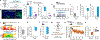 Fig. 3 |