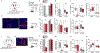 Extended Data Fig. 9 |