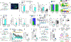 Fig. 4 |