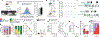 Fig. 1 |