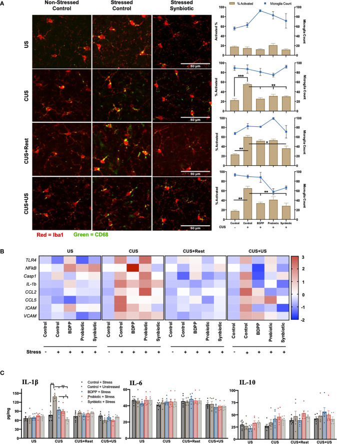 Figure 2