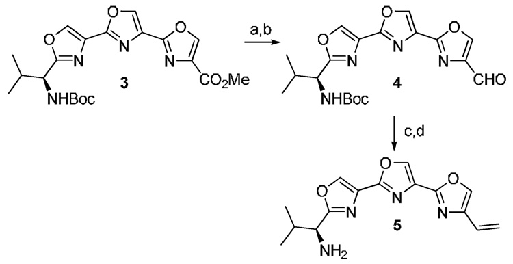 Scheme 2