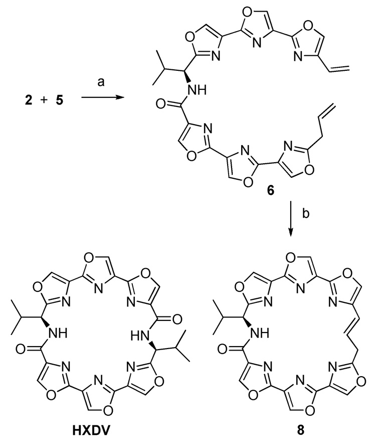 Scheme 3