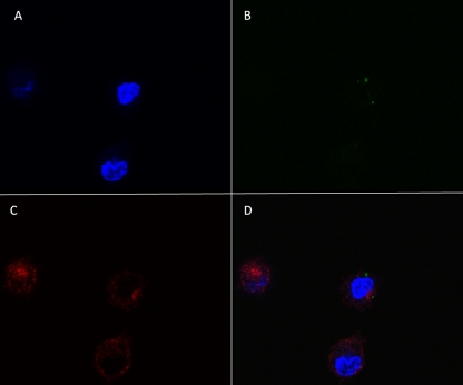 Fig 6