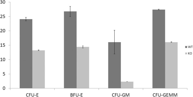 Fig 5