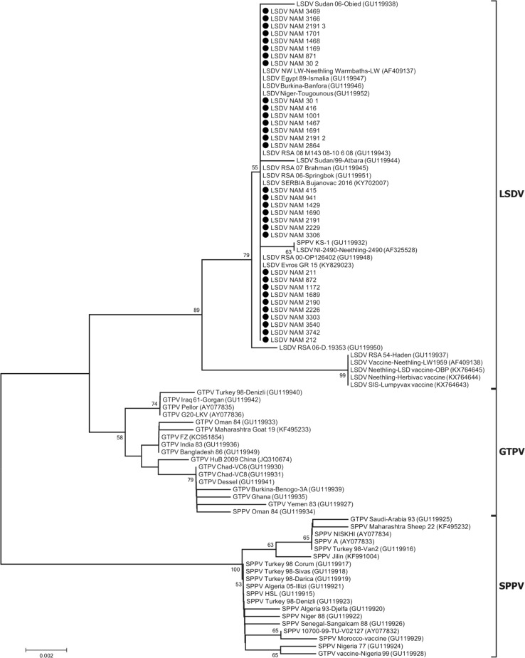 Fig. 2