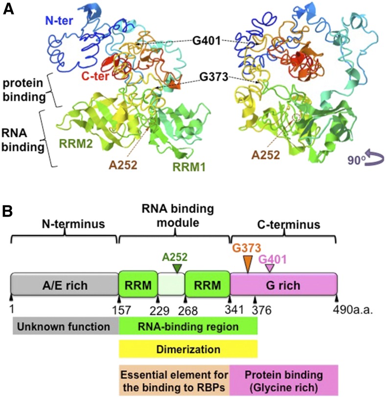 Figure 14.