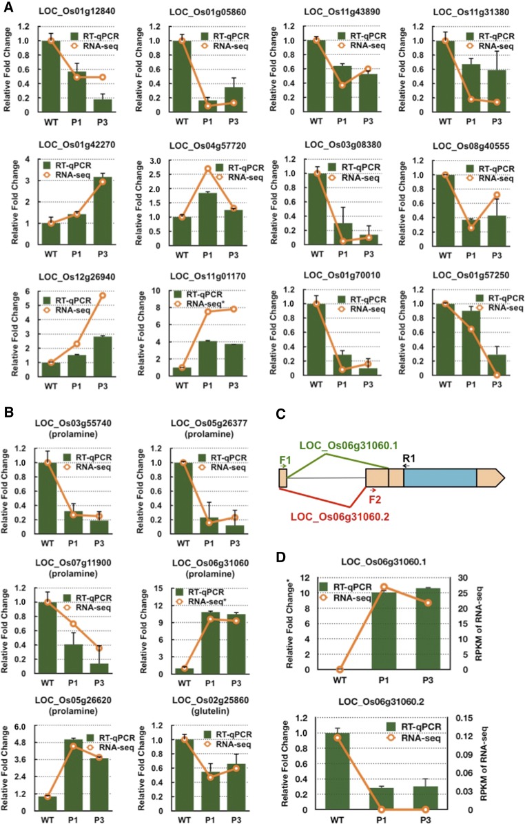 Figure 12.