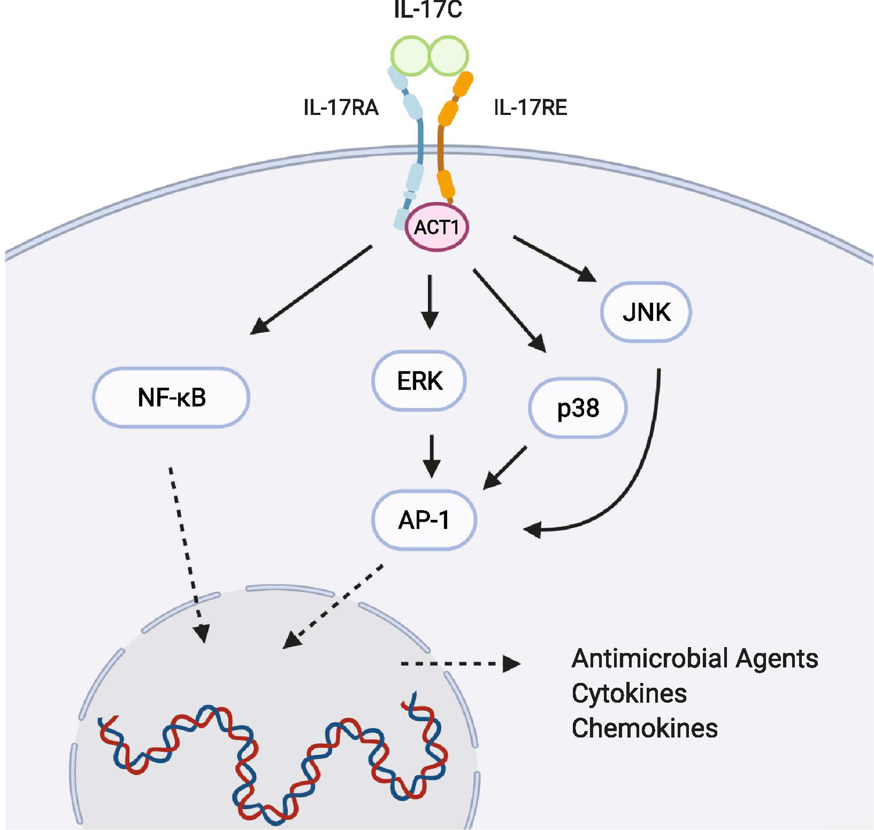 Figure 2: