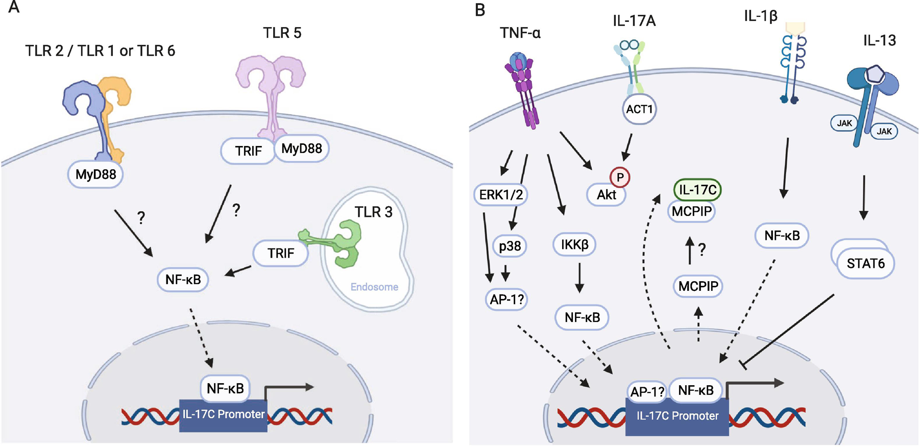 Figure 1: