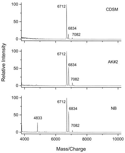 FIG. 6