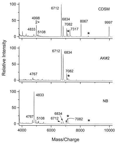 FIG. 5