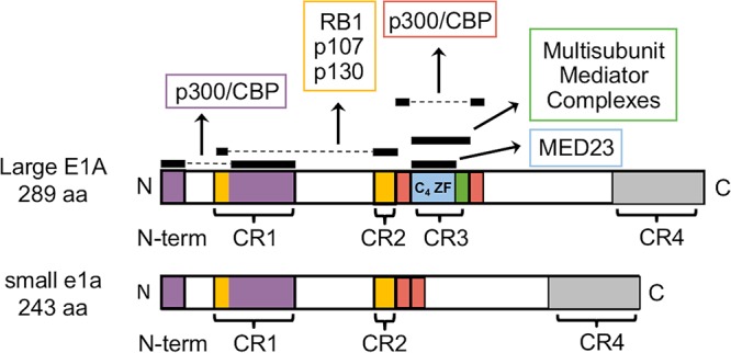 FIG 1