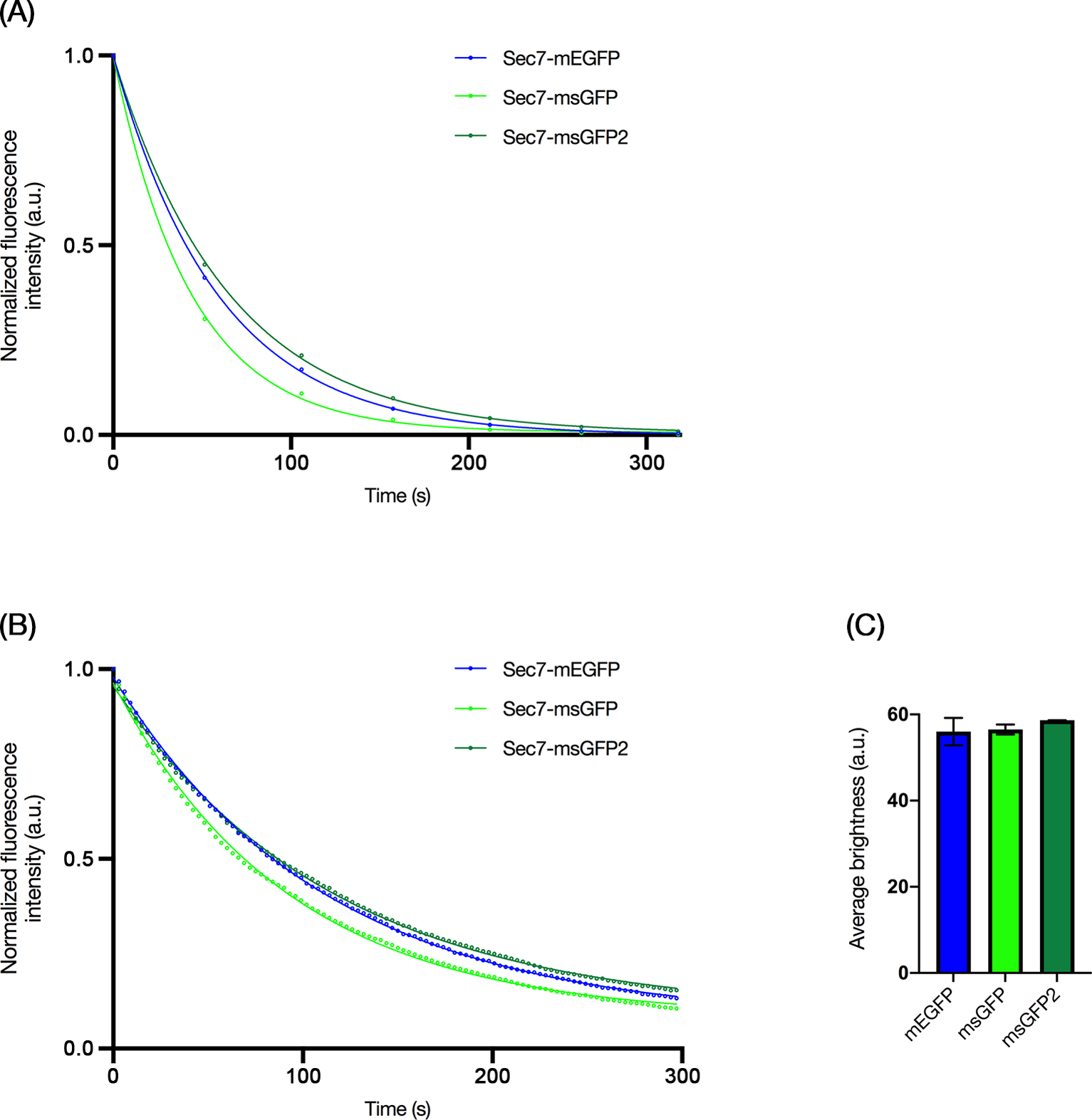 FIGURE 3