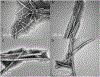 Fig. 17.