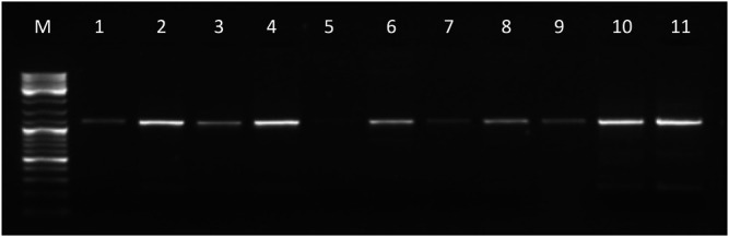 FIGURE 2