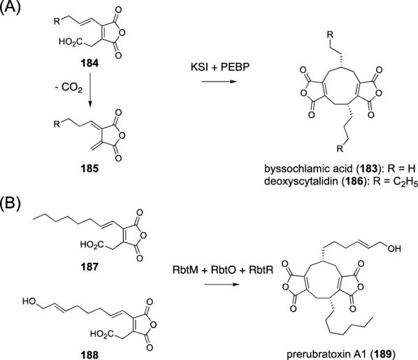 Fig. 22