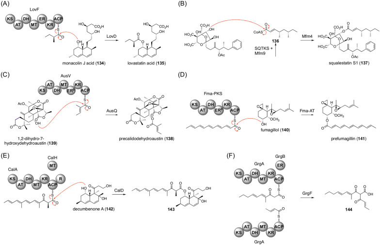 Fig. 15