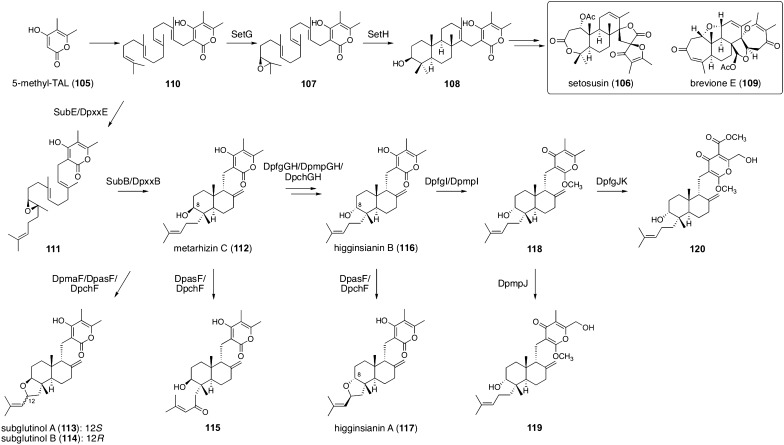 Fig. 13