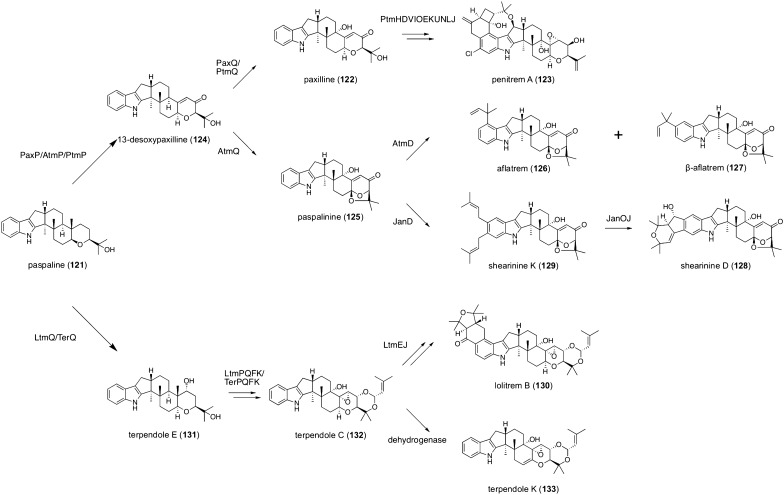 Fig. 14