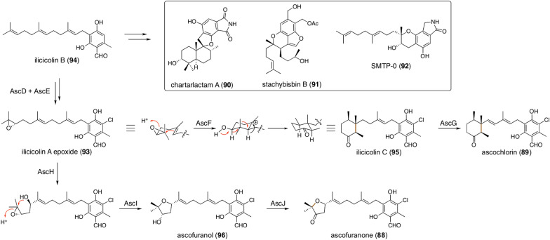 Fig. 10