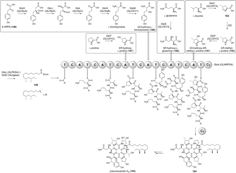 Fig. 16