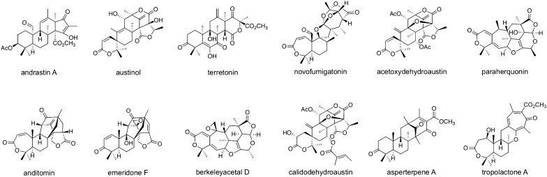Fig. 8
