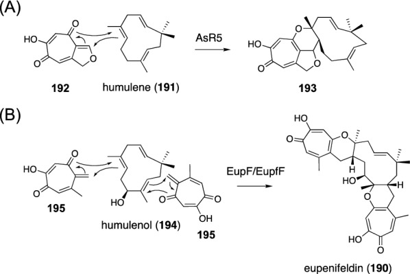 Fig. 23