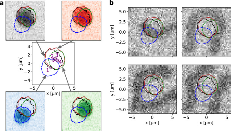 Fig. 4