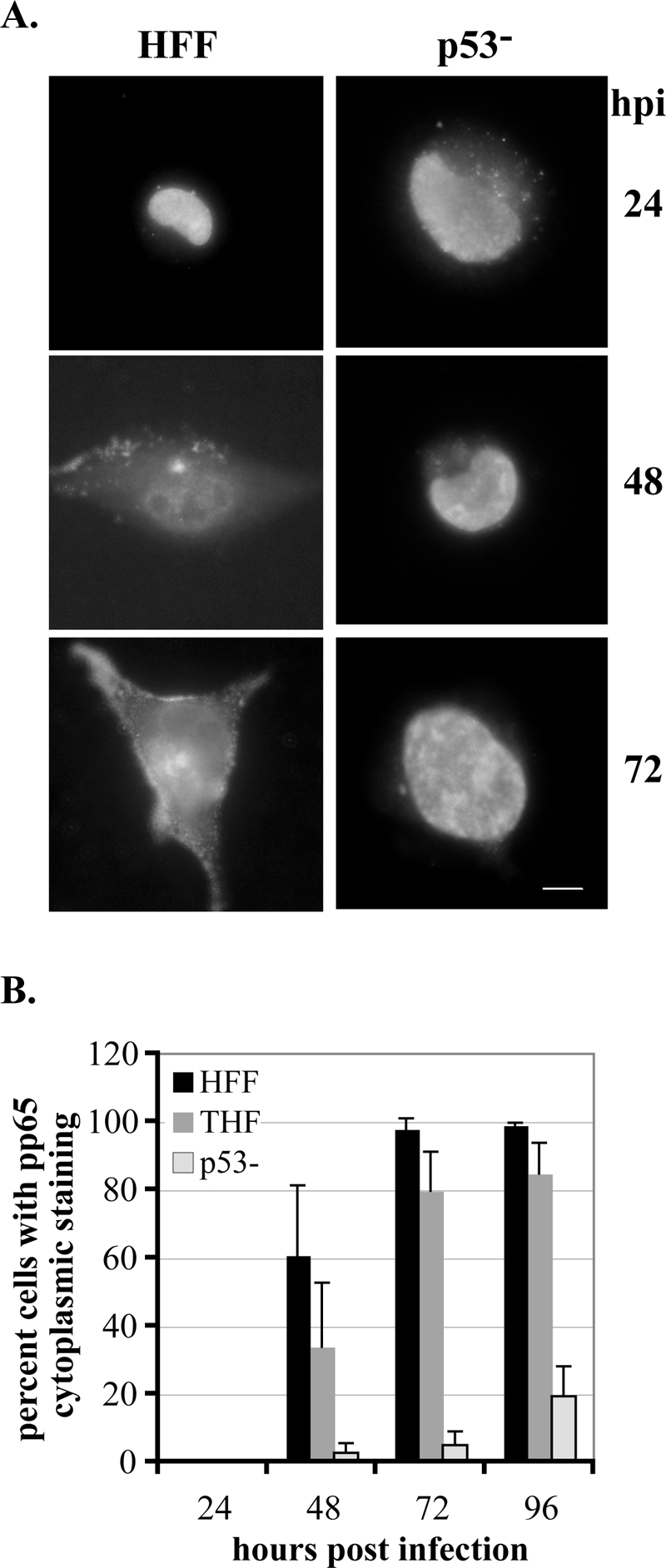 FIG. 5.