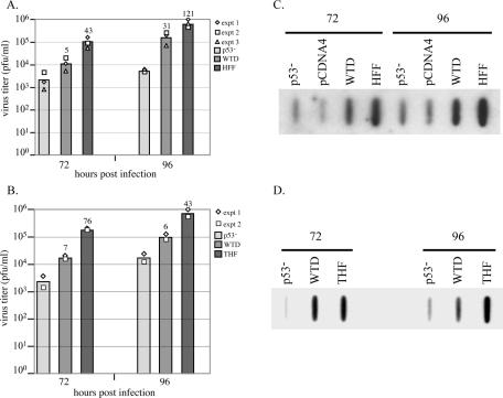 FIG. 6.