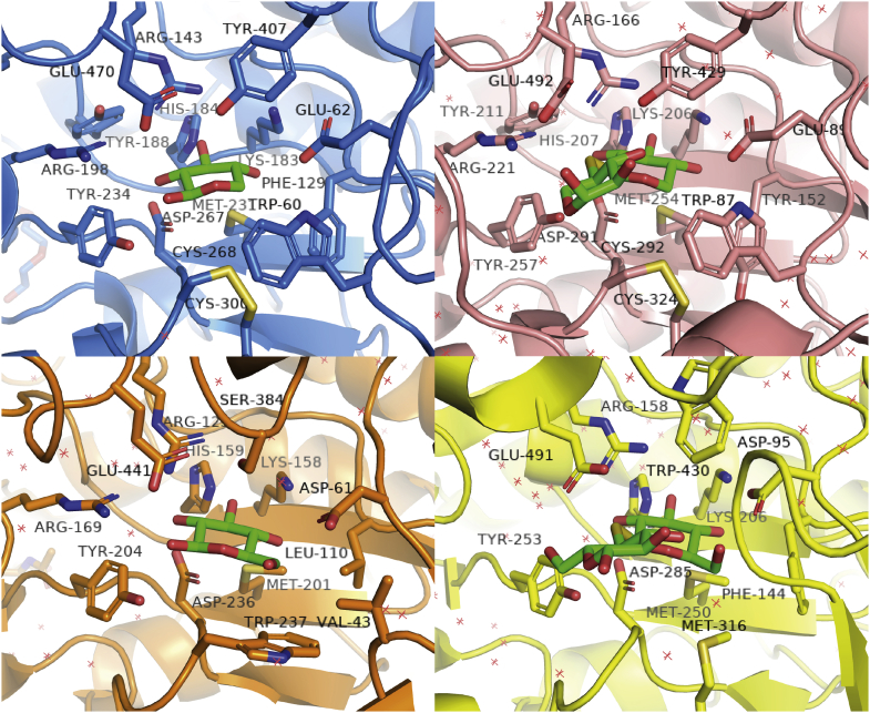 Figure 7