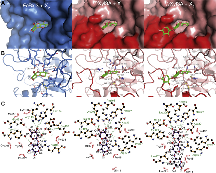 Figure 6