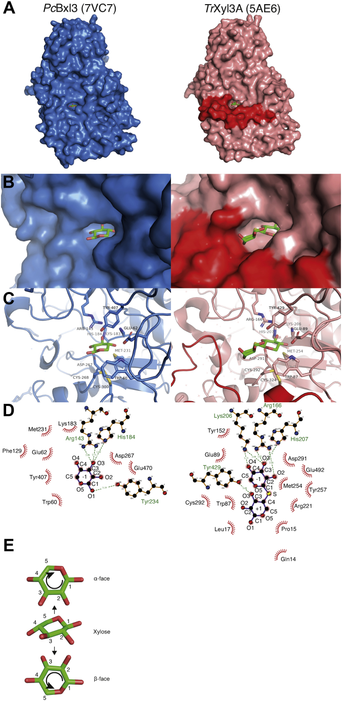 Figure 3