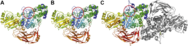 Figure 2