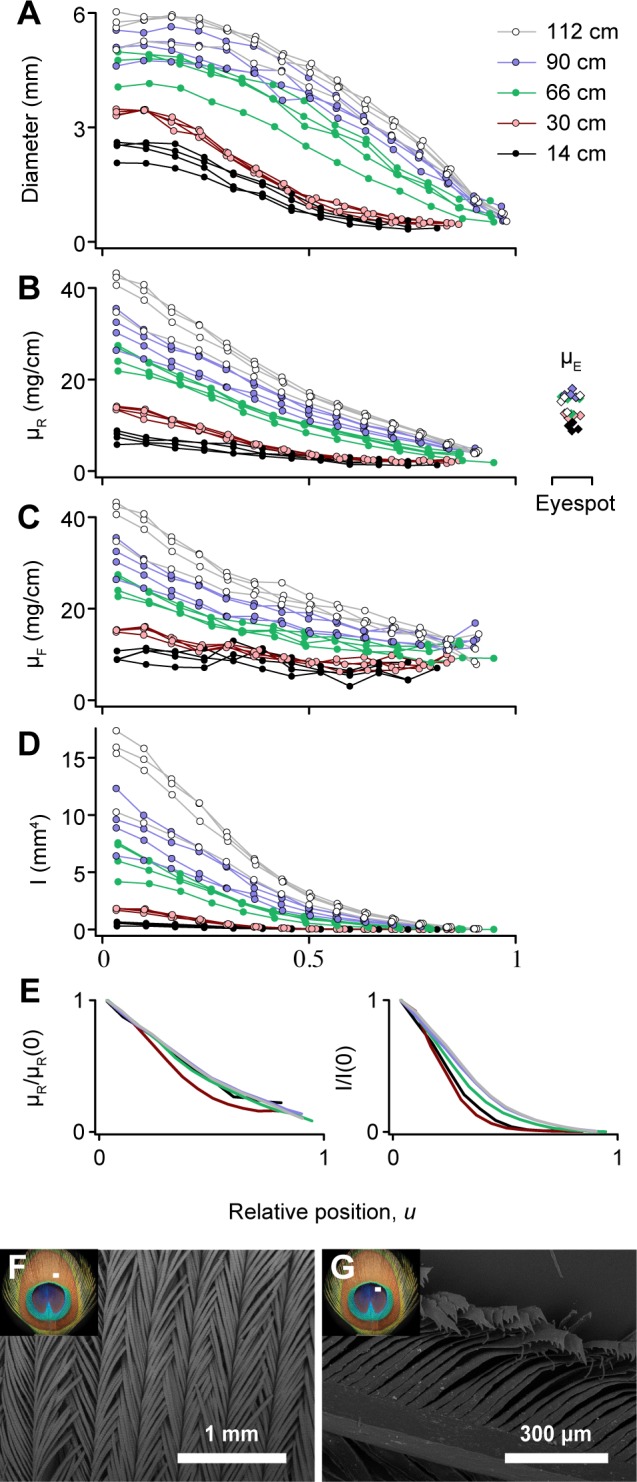 Fig 8