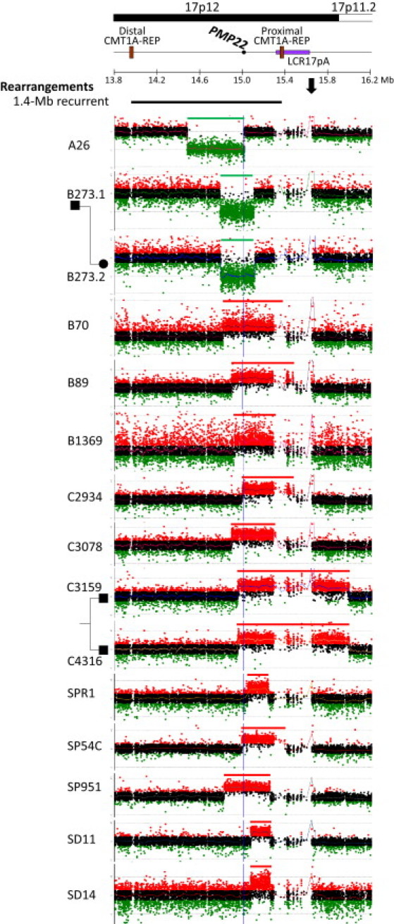 Figure 1