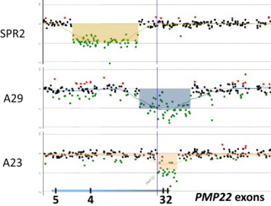 Figure 4