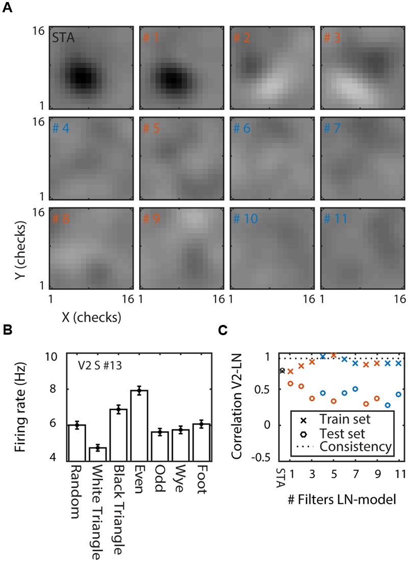 FIGURE 3