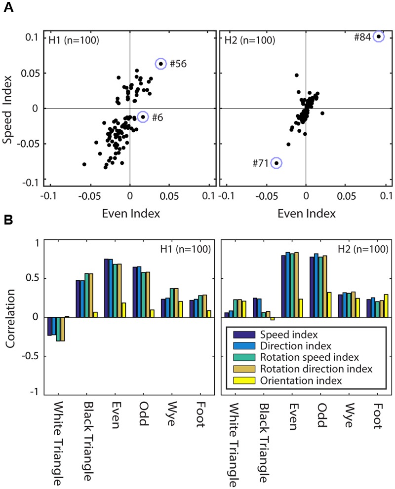 FIGURE 11