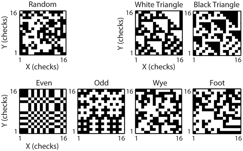 FIGURE 1