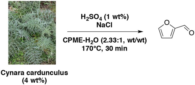 Scheme 5