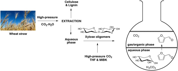 Scheme 4