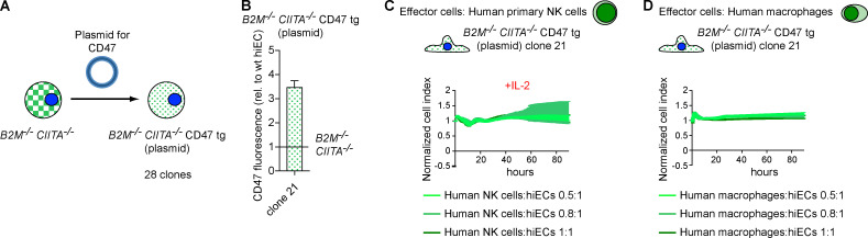 Figure 7.