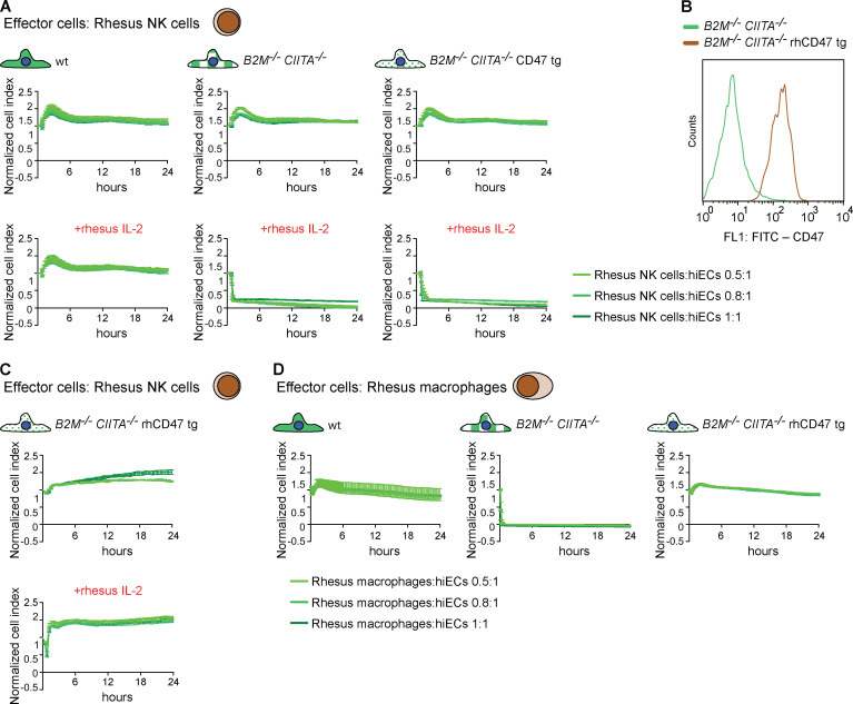 Figure 10.