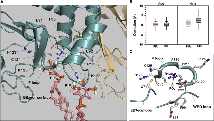 Figure 5